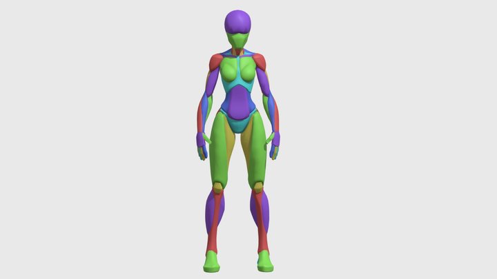 flamm-SA-female 3D Model
