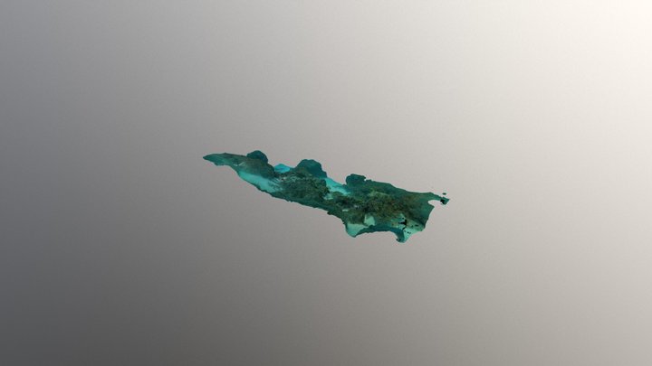 Coral Transect 3D Model