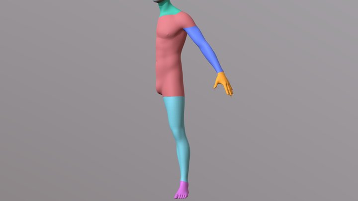 maleHalf 3D Model