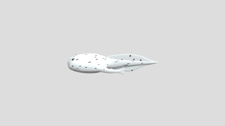 Tadpole with legs / Kecebong berkaki 3D Model