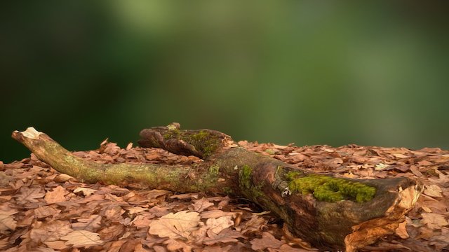 Natural Environment - Tree Log 3D Model