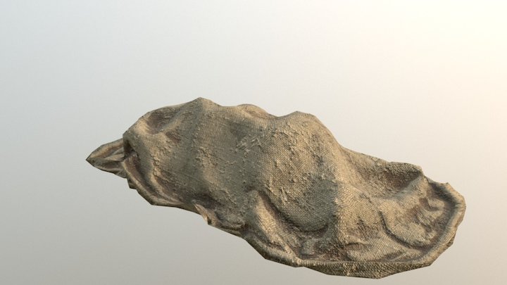 Sandbag 3D Model