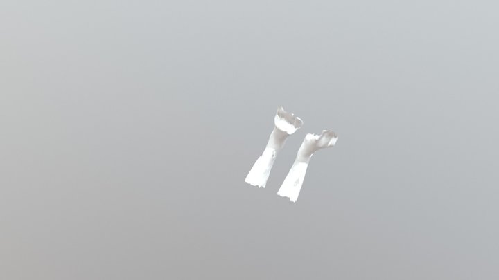 Feet 2 3D Model