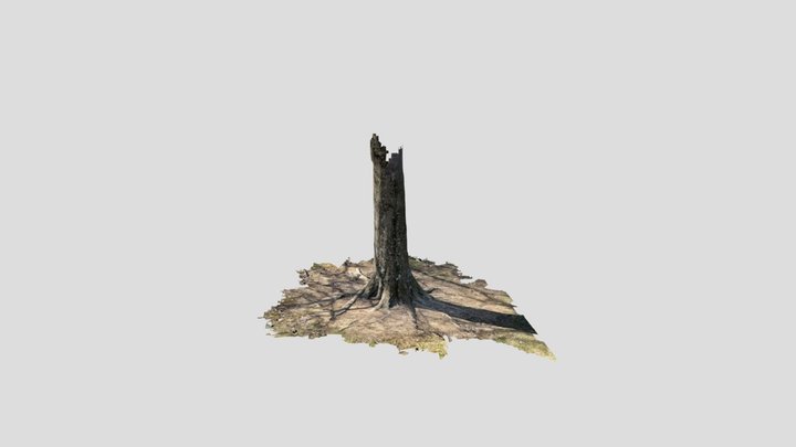 Untitled Scan 3D Model