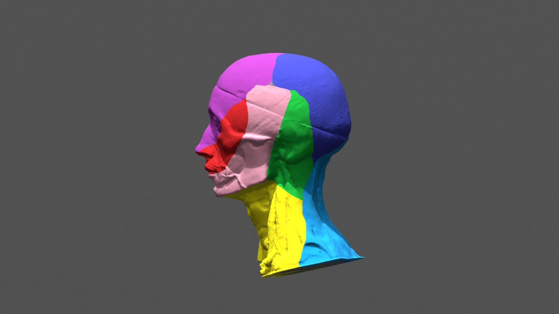 Innervation of the Face