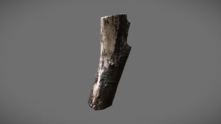 Small mossy wood log 3D Model
