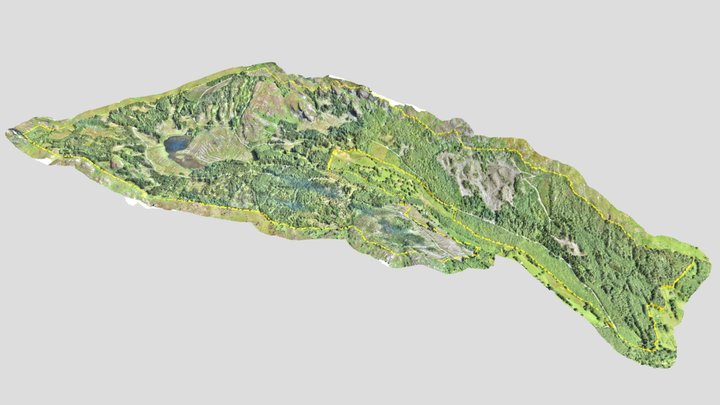Cwm Mynach - Woodland Trust site 3D Model