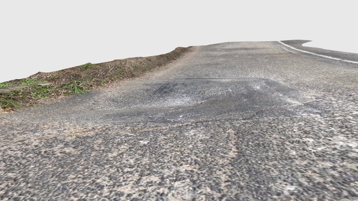 Road Issue 3D Model