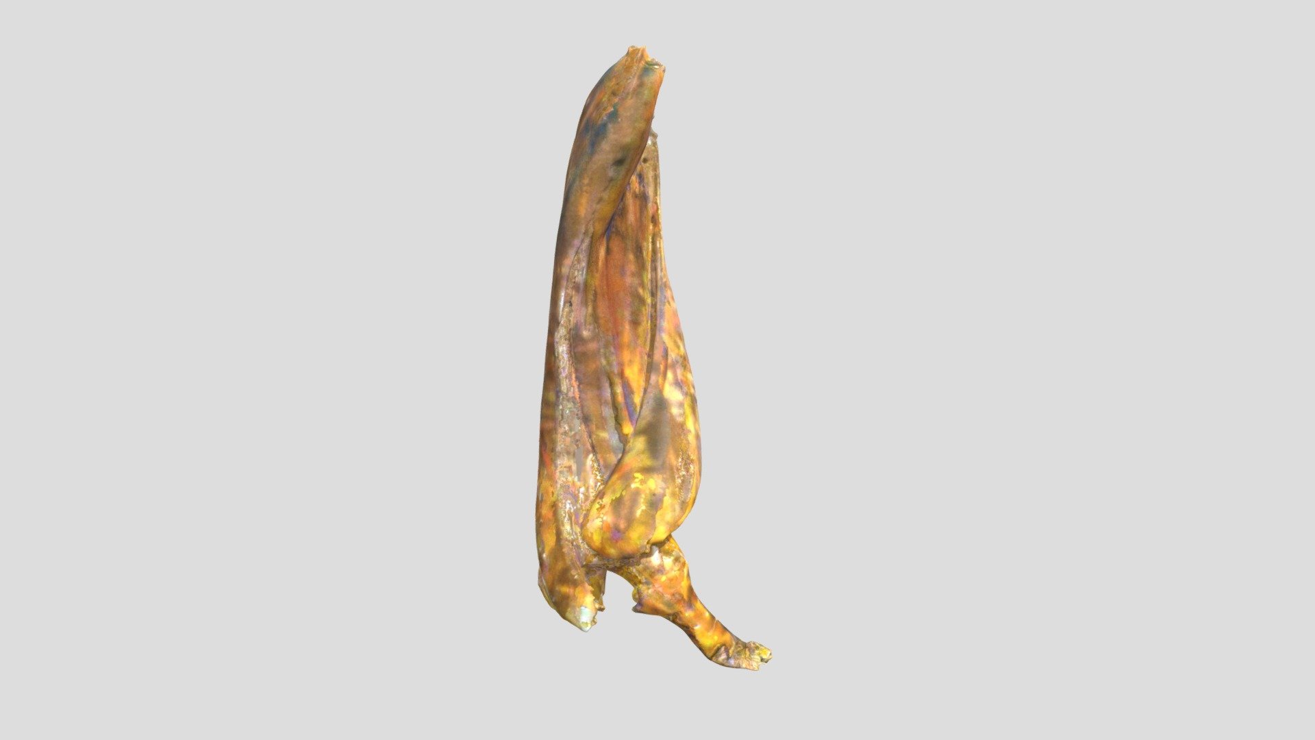 Banana Peel (VCU_3D_5159)
