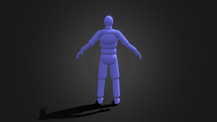ALS Ragdoll 3D Model