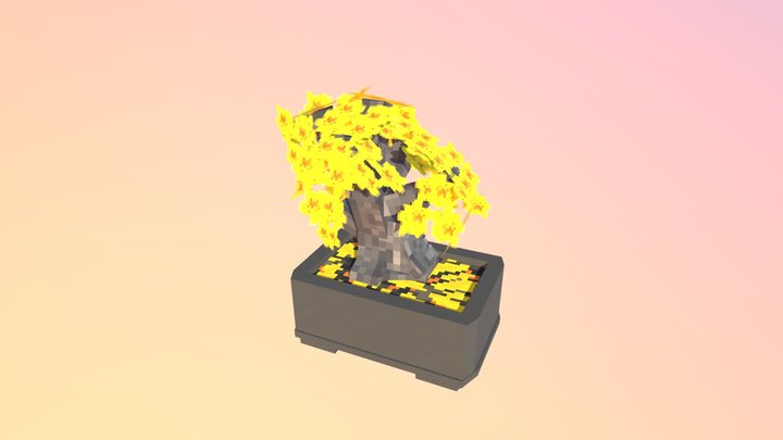 Apricot bonsai tree 3D Model