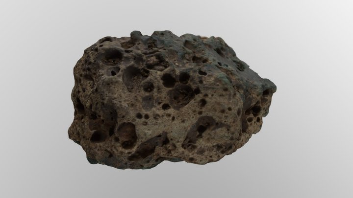 Coral stone 3D Model