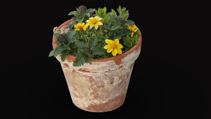 Potted Plant 3D Model