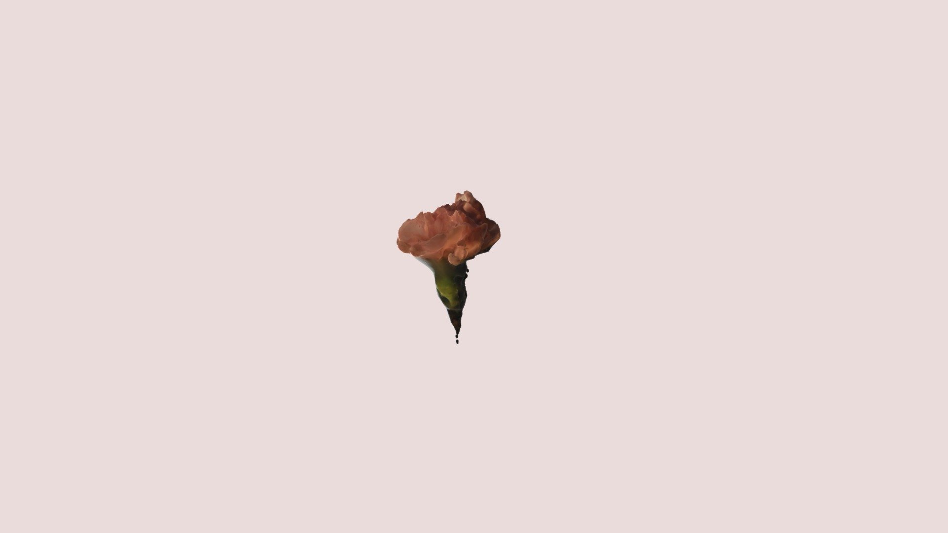 Flor