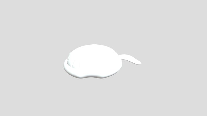 My model 3D Model