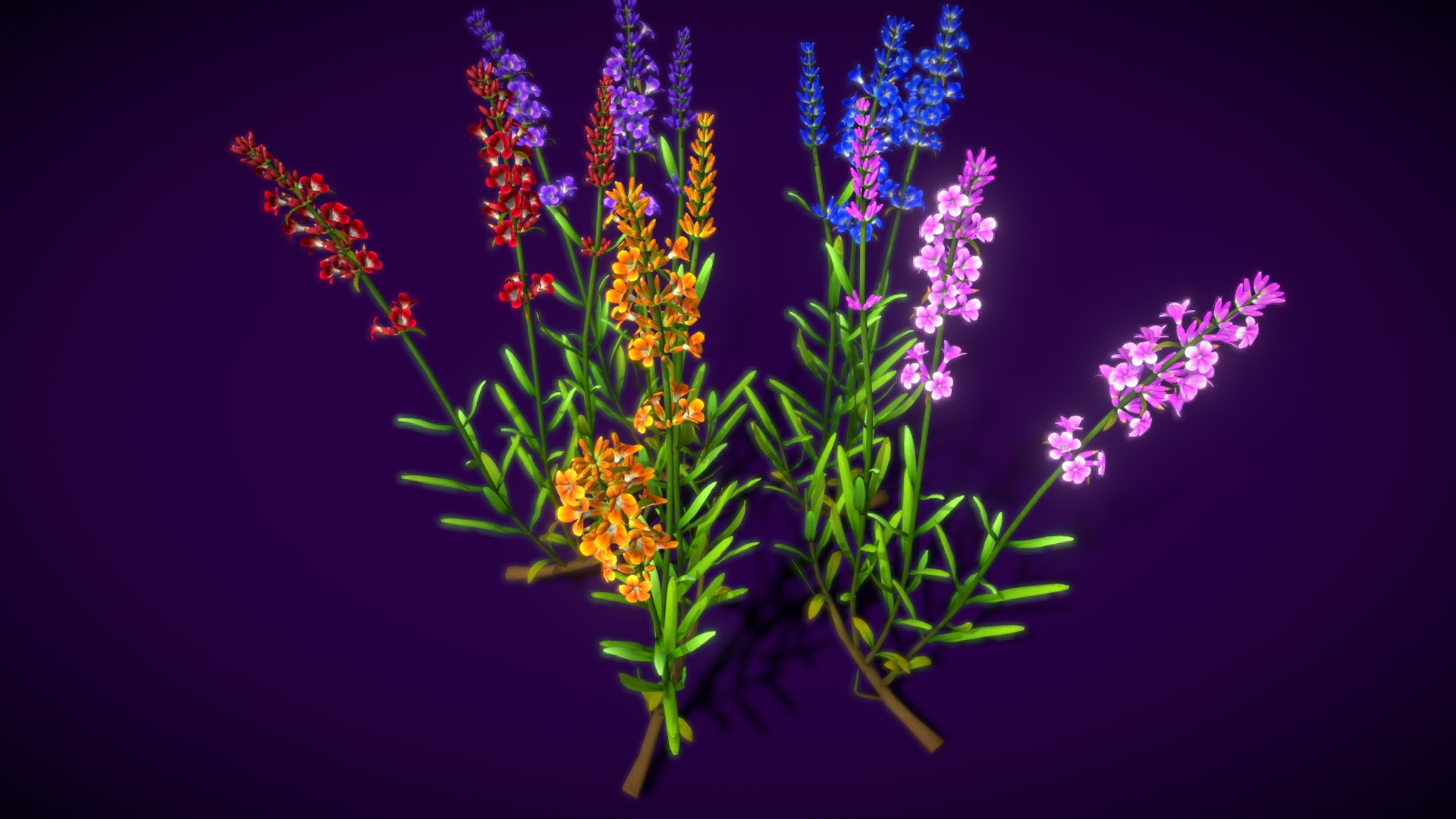 3D model Flower Lavandula - This is a 3D model of the Flower Lavandula. The 3D model is about a close-up of some flowers.