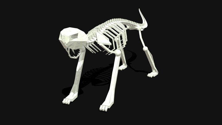 Character blockout  -  skeleton 3D Model