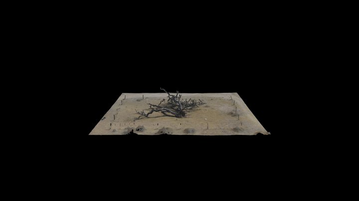 Ngauzepo 3D Model
