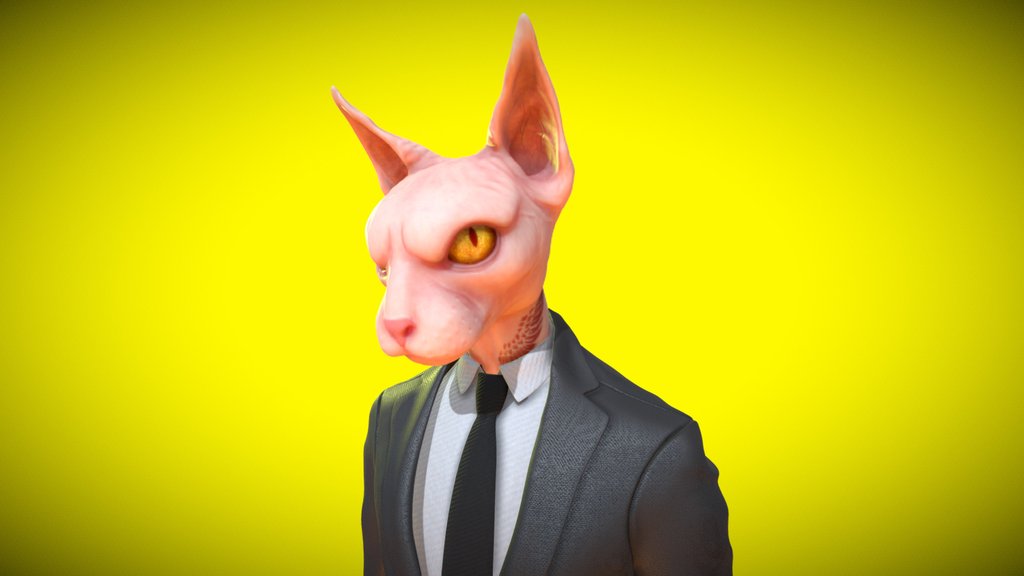 Cat