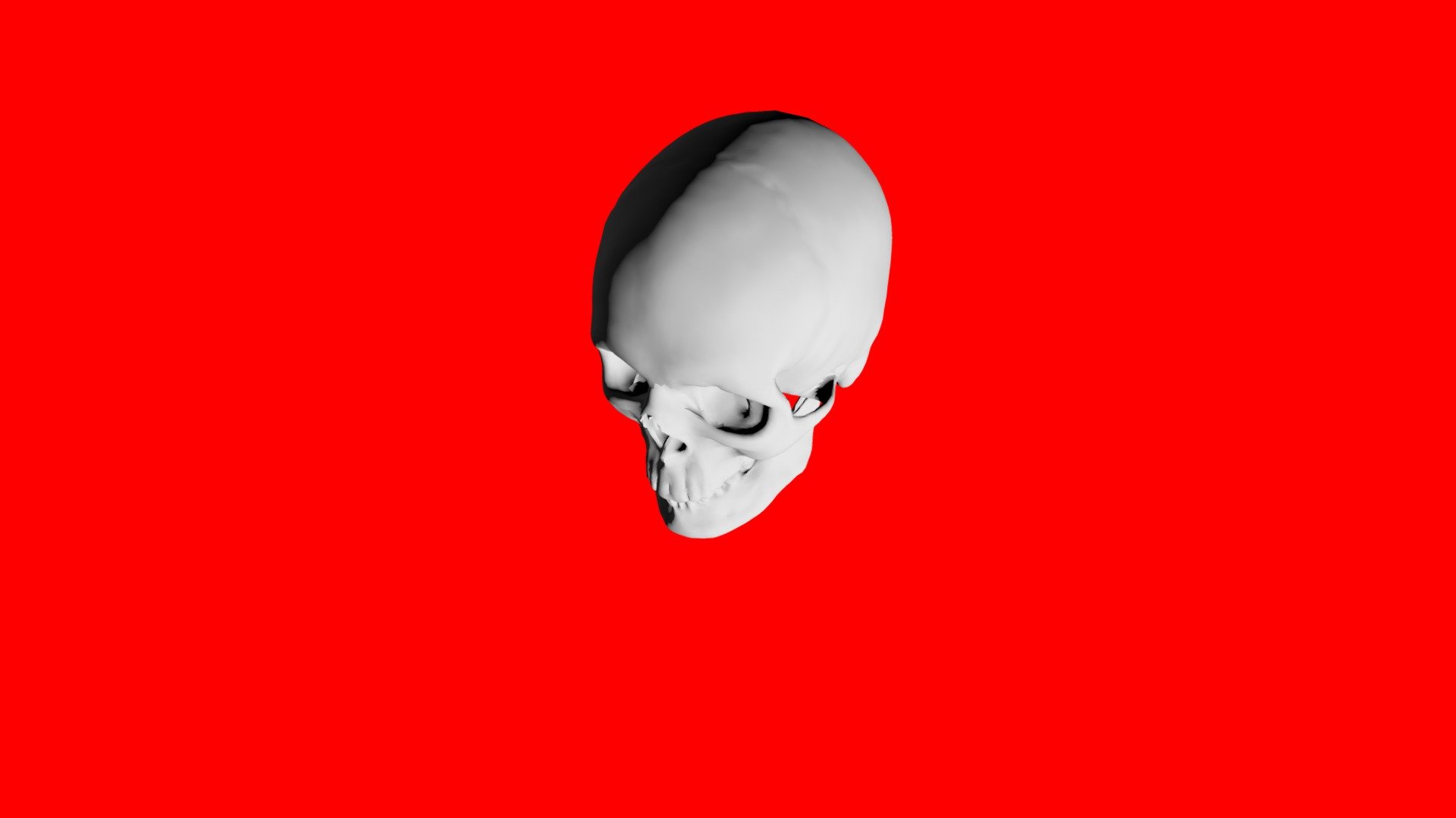 Human-skull