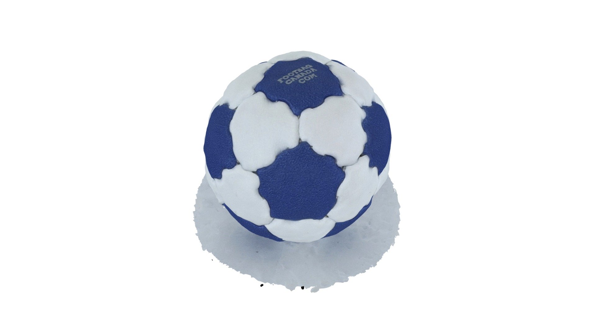 Net Footbag