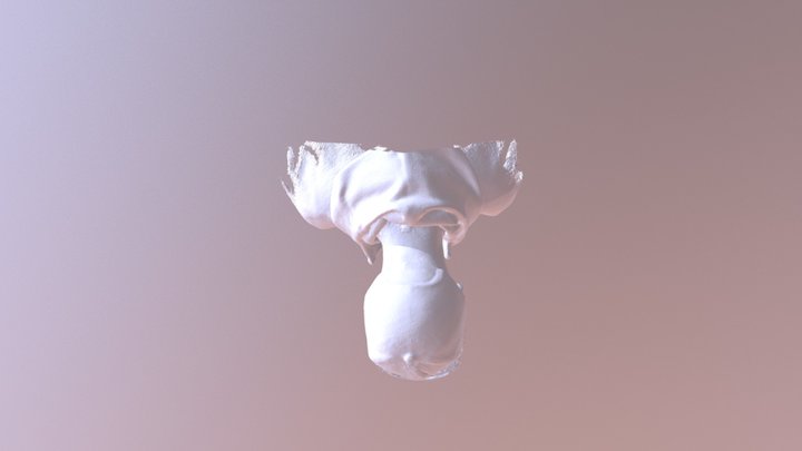 Clark 3D Model