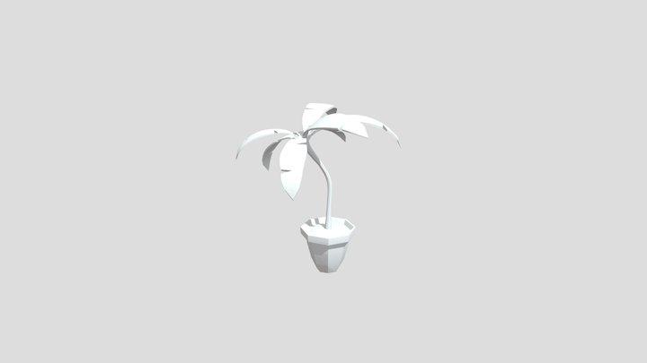 Plantu 3D Model