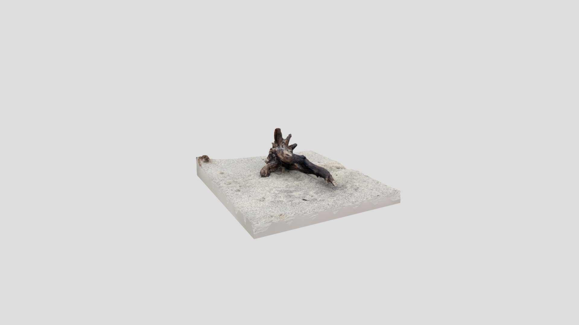 Drfitwood, lower poly