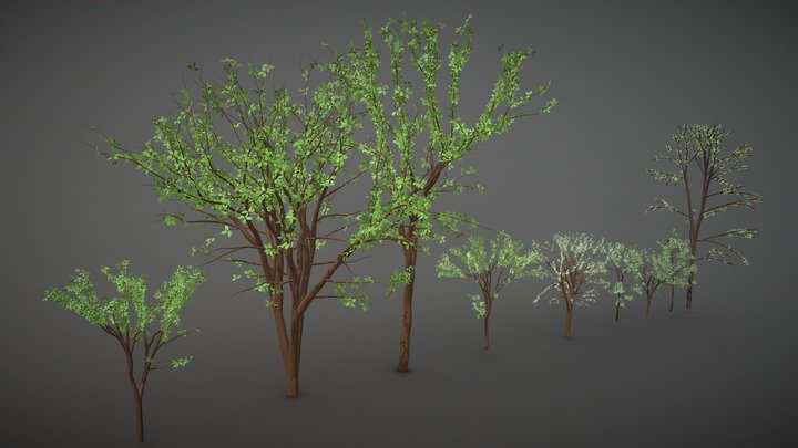 Trees (House in the woods project) – Modello 3D gratuito STL