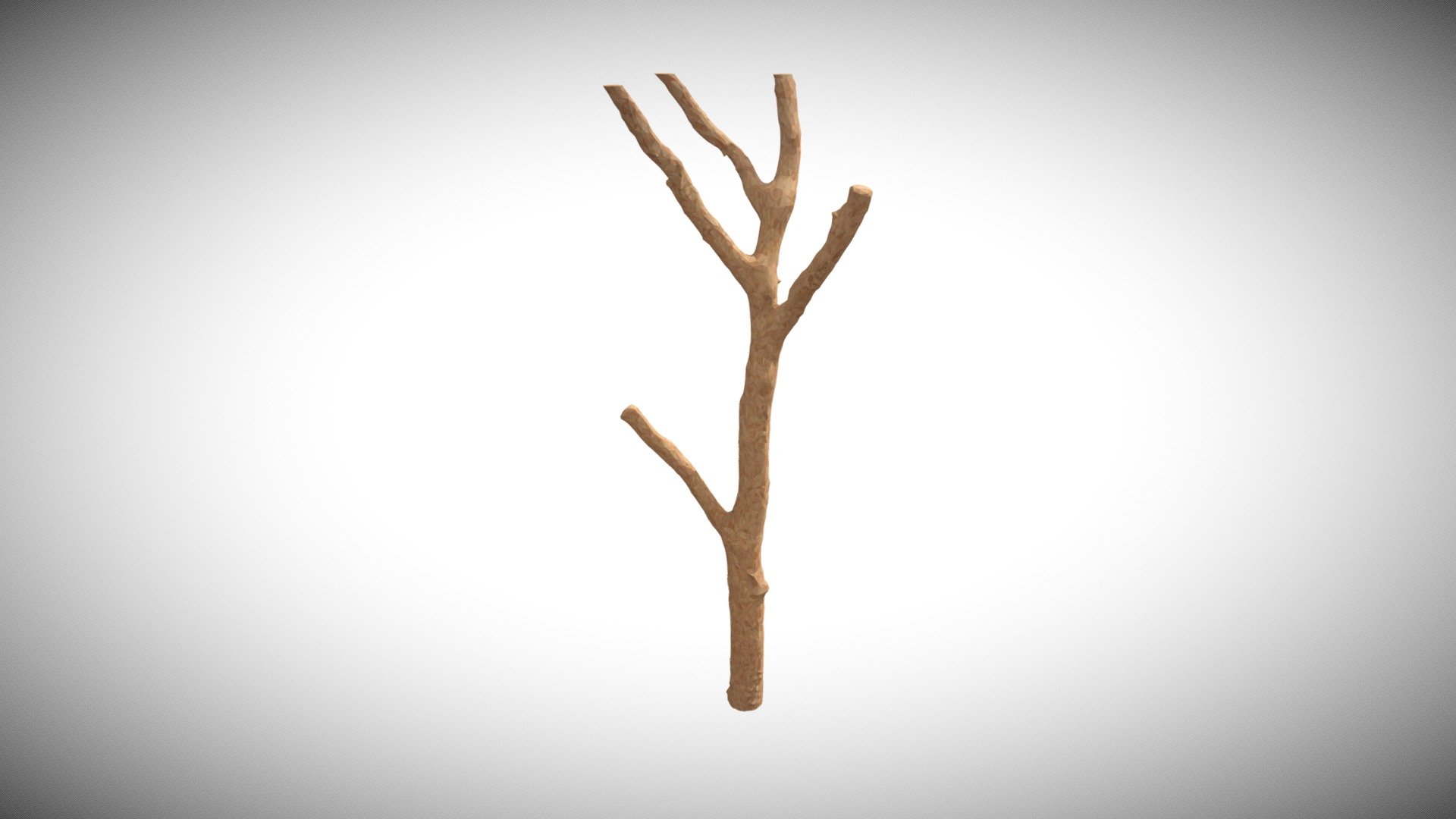 Beauty Tree 9
