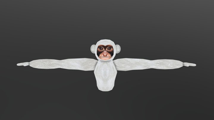Monkey Starter Model 3D Model