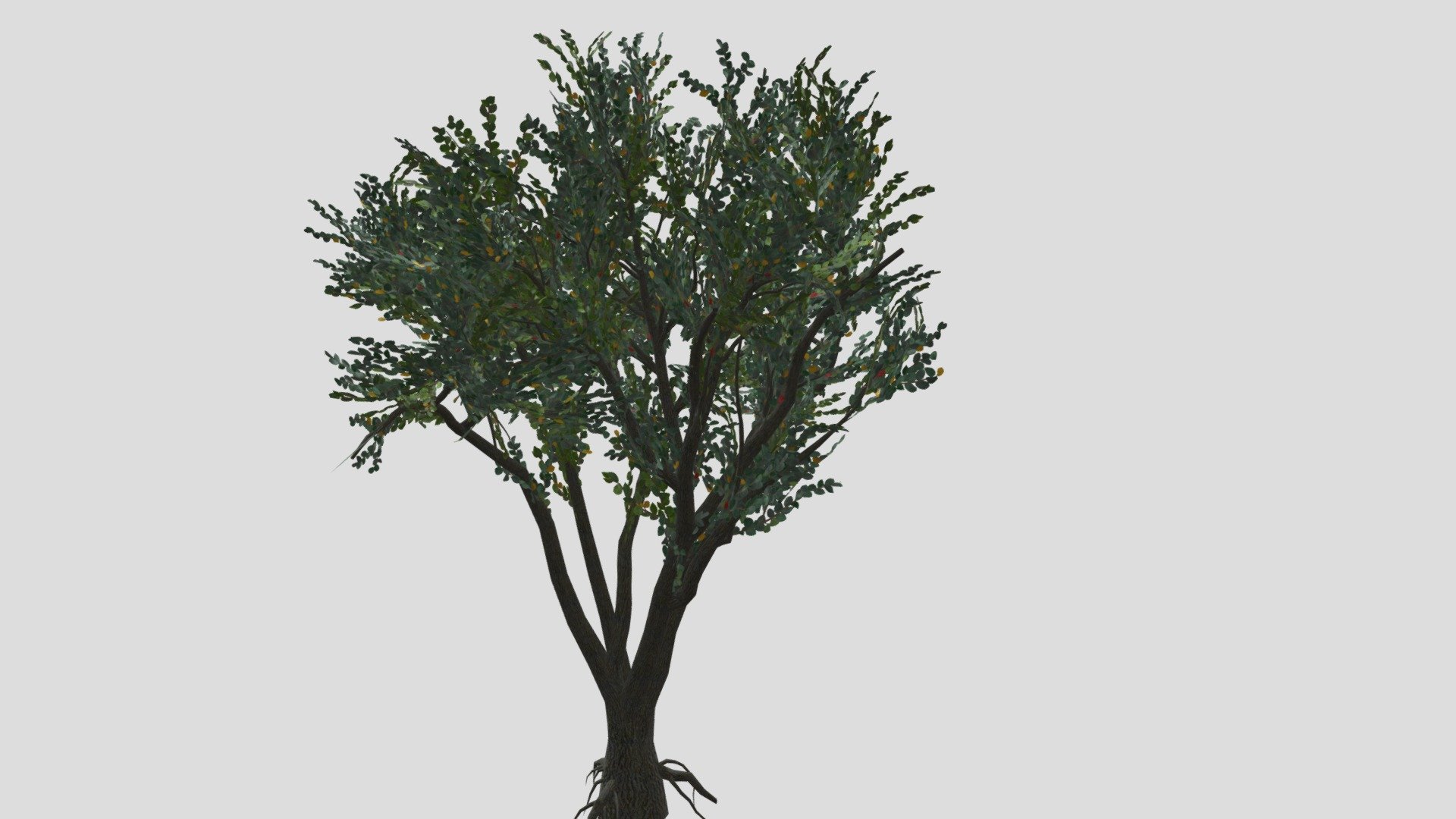 Elm tree - Download Free 3D model by Georgeous (@intice184) [859d8f4 ...