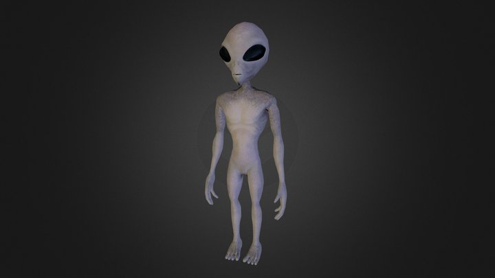 Gray Alien 3D Model