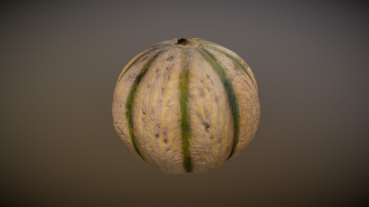 Melon 3D Model