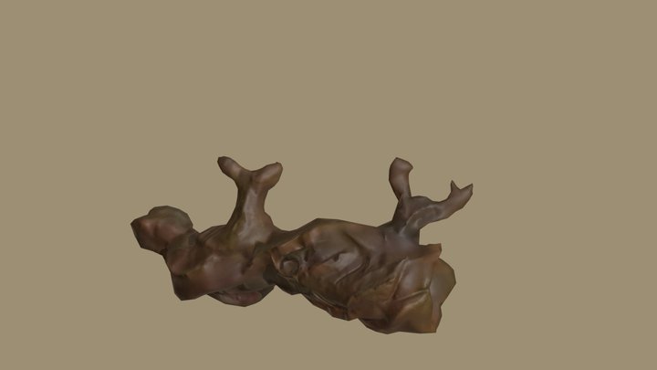 Tronco 3D Model