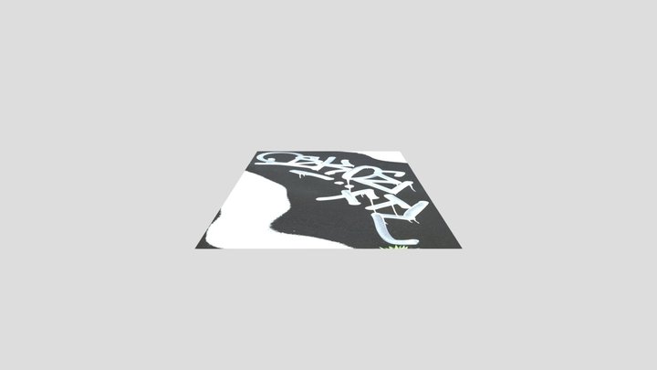 Graffiti Decal White Paint