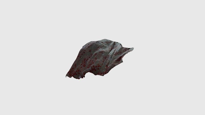 Essai 3D Model
