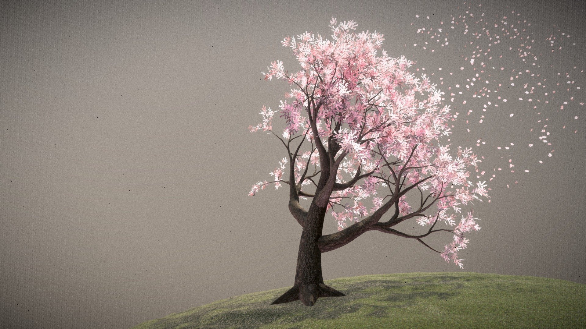 Cherry Blossom Tree Collection - Buy Royalty Free 3D Model By Jagobo ...