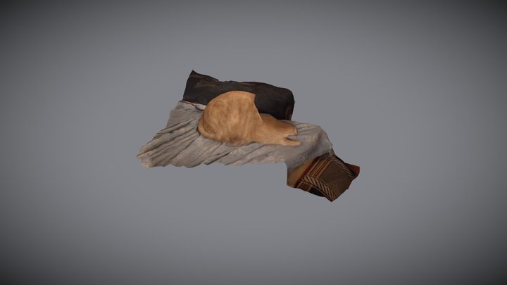 My Cat 3D Model