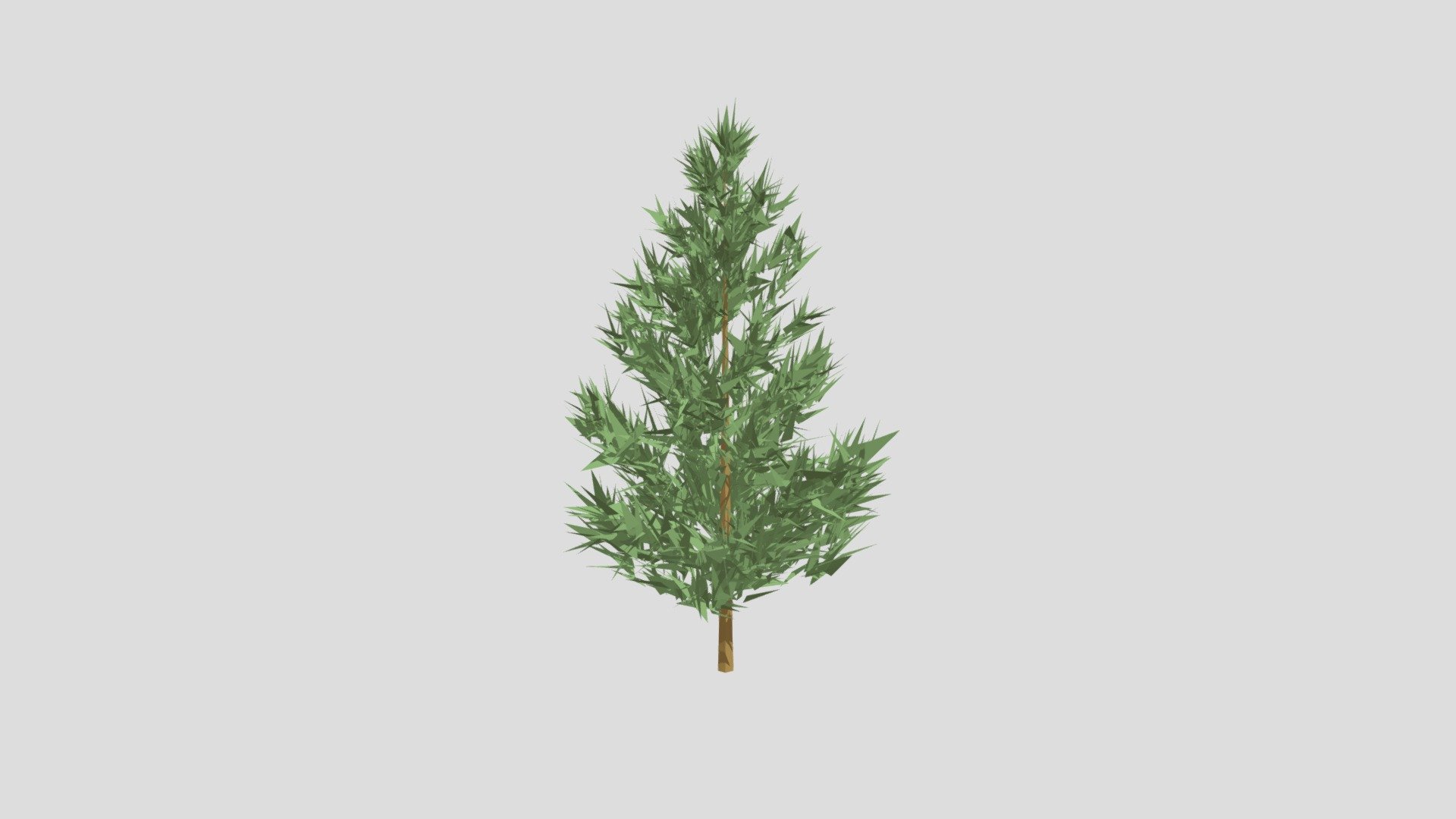 Pine