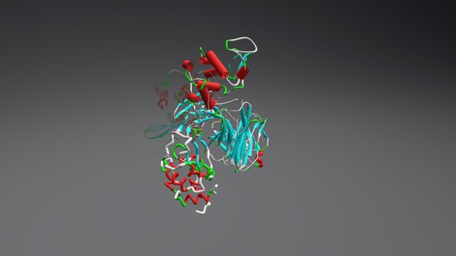 Antibody-antigen complex 3D Model