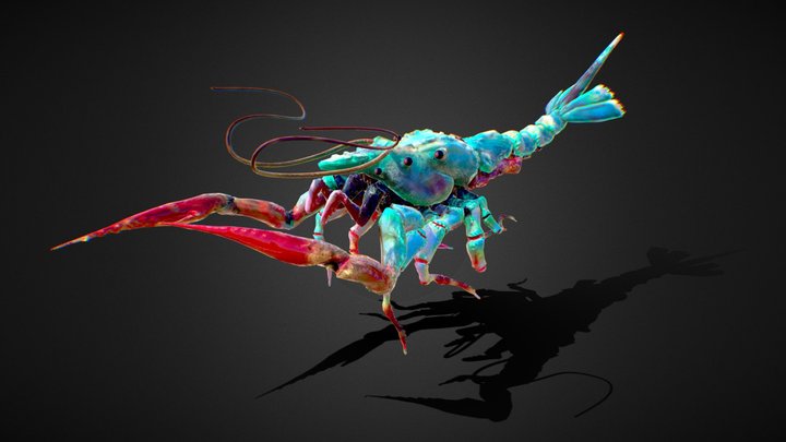 MiSchl'N Lobster 3D Model