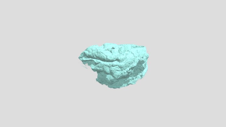 Mongolian embryo-like fossil 3D Model