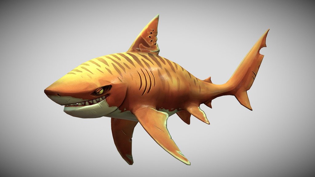 HSW Tiger Shark