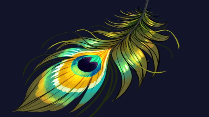 Feather 3D models - Sketchfab