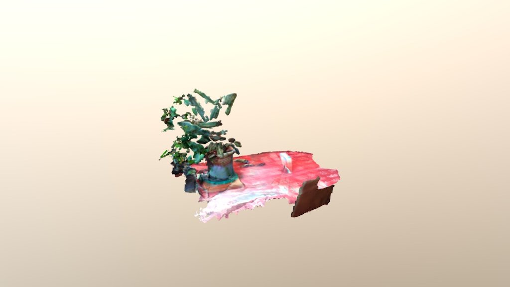 plante