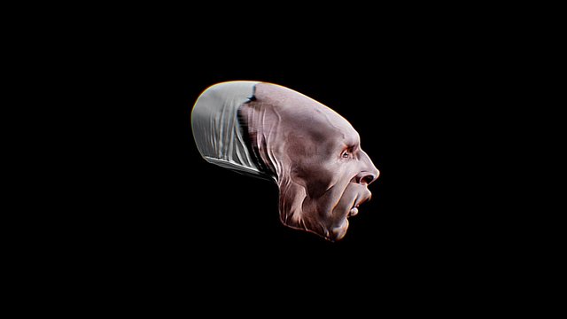 conehead 3D Model