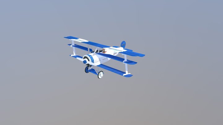 WhiteBlueAirplane 3D Model