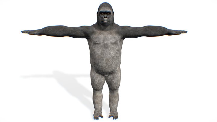 Gorilla Fighter Pose ( Rigged & Blendshapes ) 3D Model