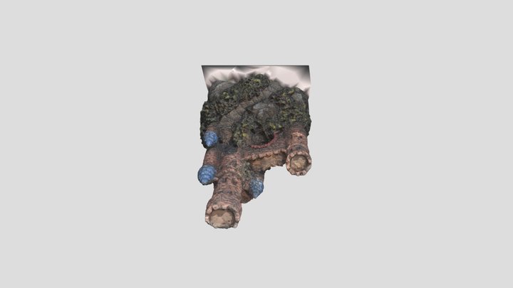 The Castle 3D Model
